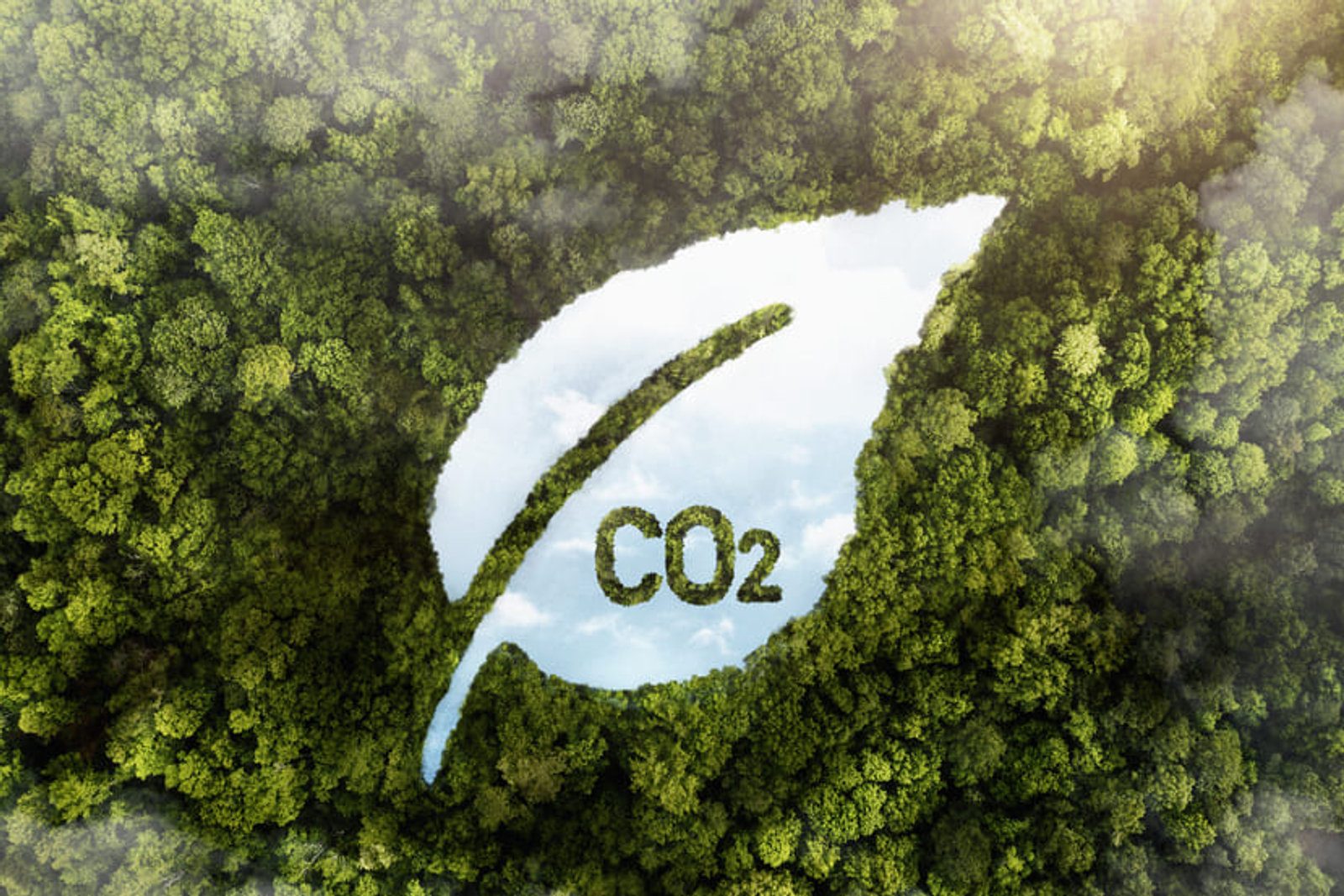 Stand écologique & RSE