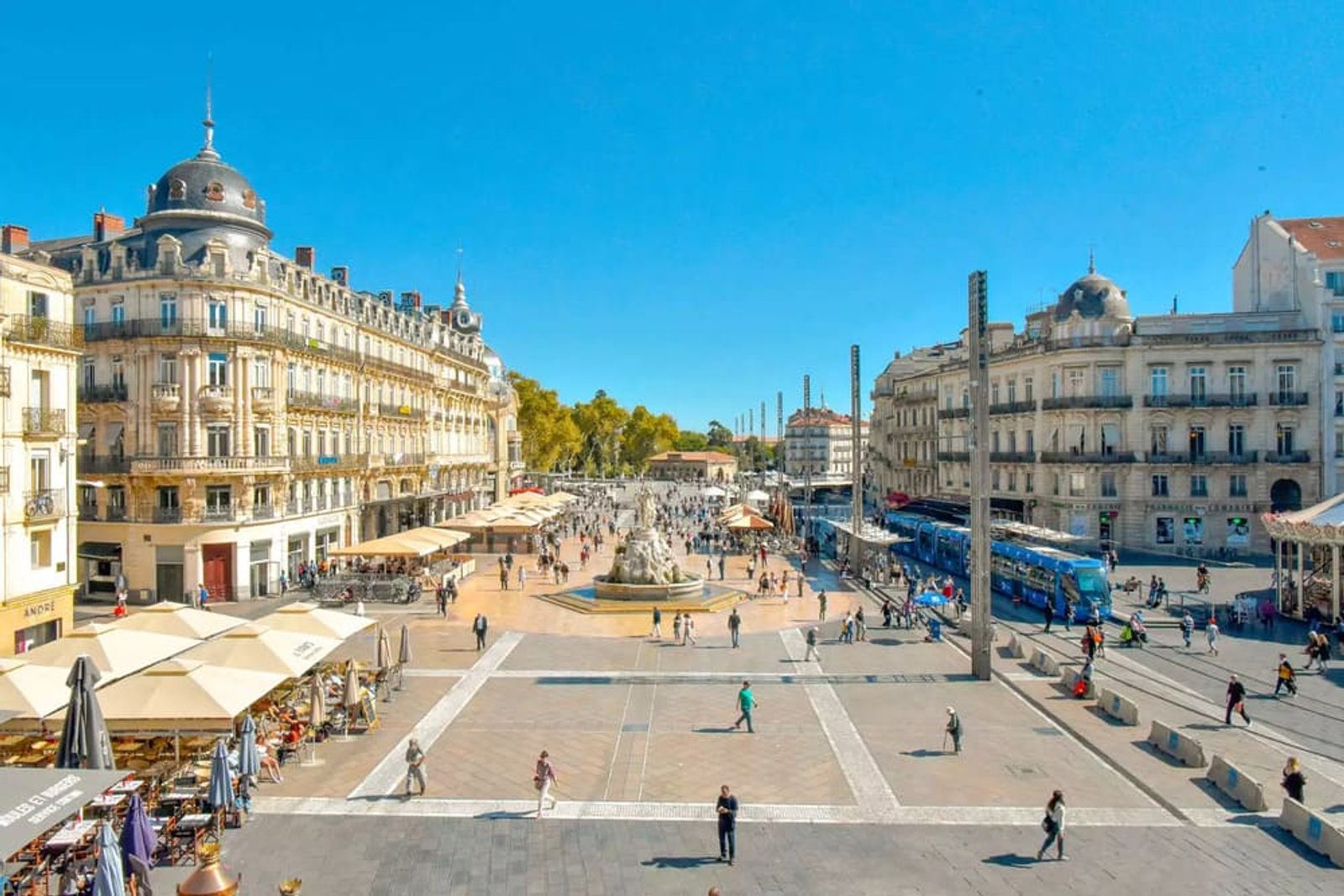 Standiste à Montpellier